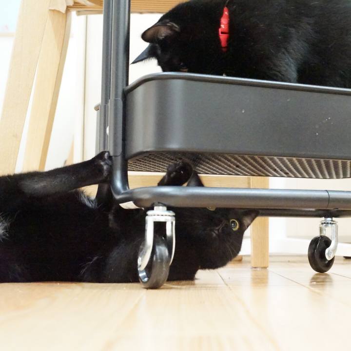 06ad1d66 b0c0 41d0 904f a275615db1c2 1531093801938