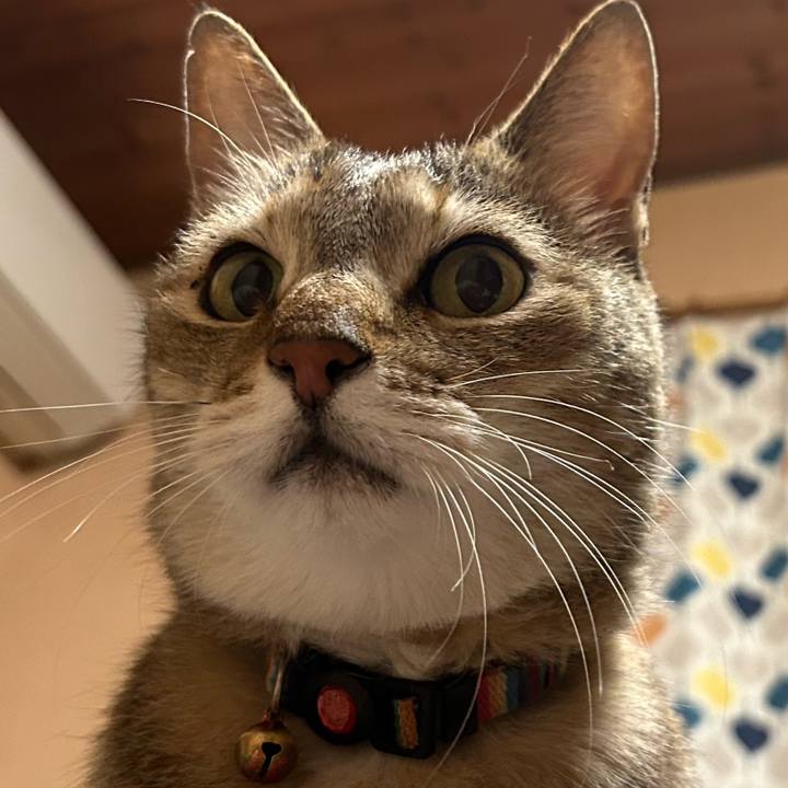 06ad3a98 8961 46e3 9454 ce72b1fd63a0 1710682881739