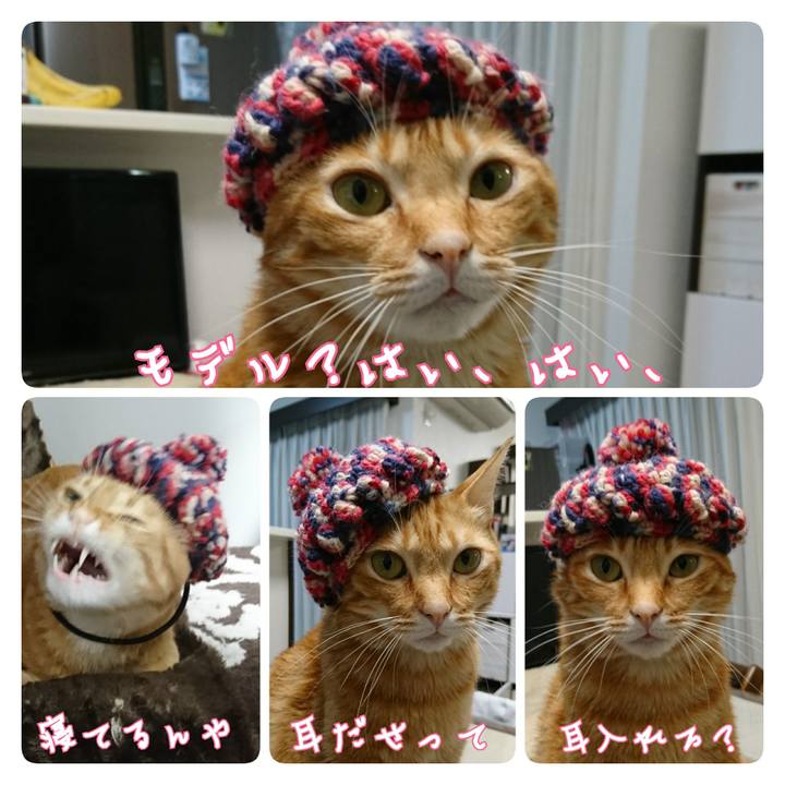 06ad608e 0081 4339 aeb9 a7a79ce1688a 1547189973451