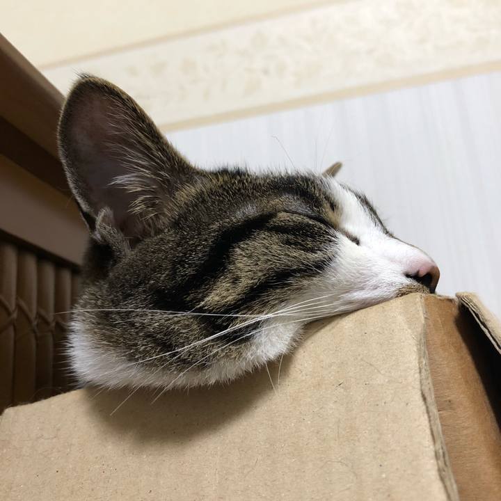 06ad716f 53d7 4f7f a752 9bfa4fcc4c7a 1526520971967