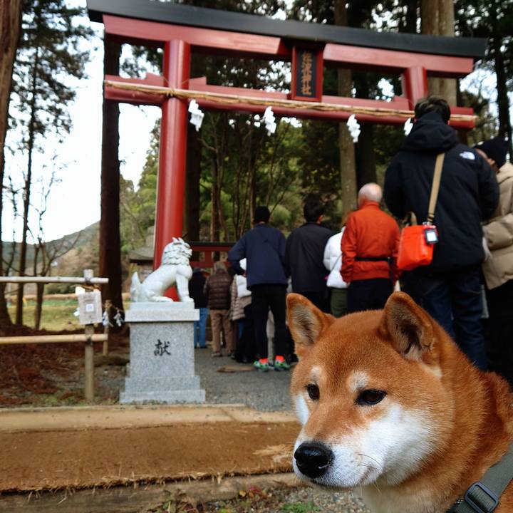 06ad848f b946 487a a92d 8996a6b1b5bf 1767260207320