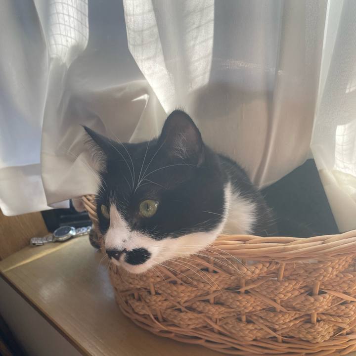 06adbe45 d667 460f 9114 6228d0332b04 1733704335503