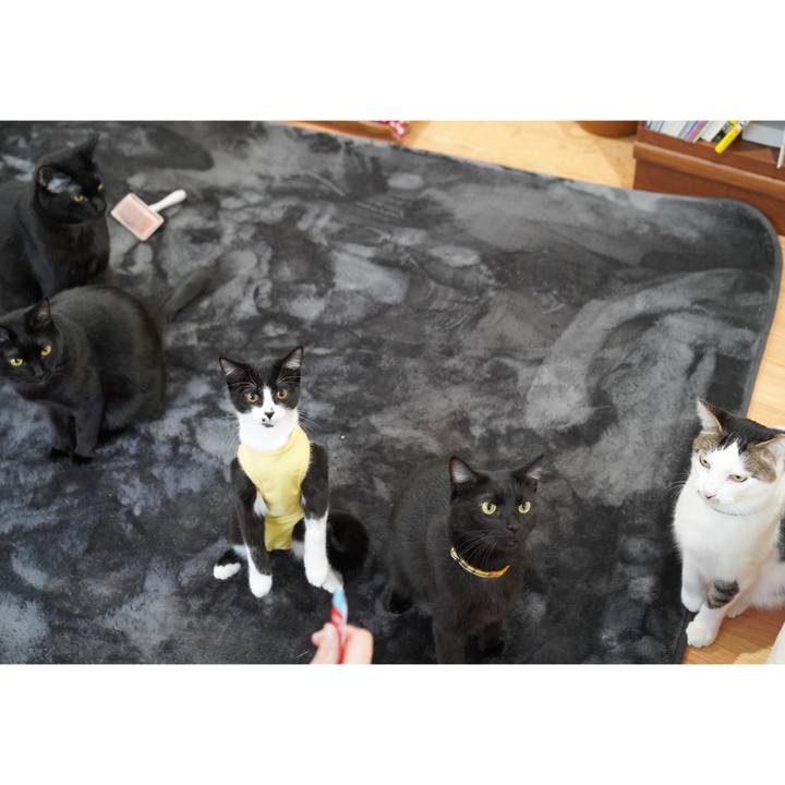 06adcb23 d2ac 4555 a167 d7906f7519d1 1578801315444