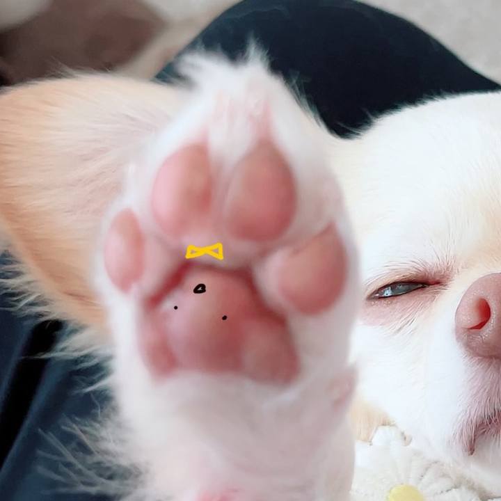 06ade04f ac4d 4fb0 8b35 f29c7352e893 1689849949507