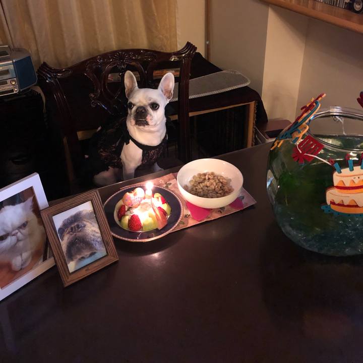 06ae181a fab6 496e 802b 1b141e7d9e18 1543149880887