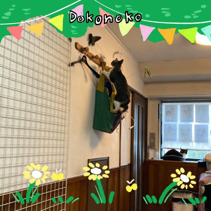 06ae67d2 825b 4d42 8e89 e2a884437f62 1711234137877