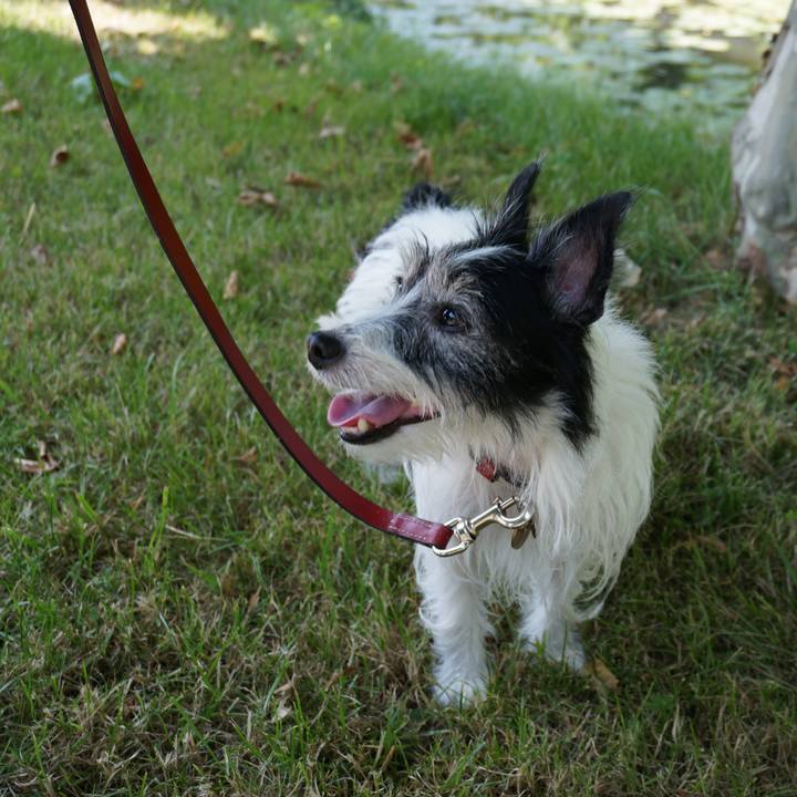 06af0339 0439 4539 bf67 aebfa20dc31f 1541921418854