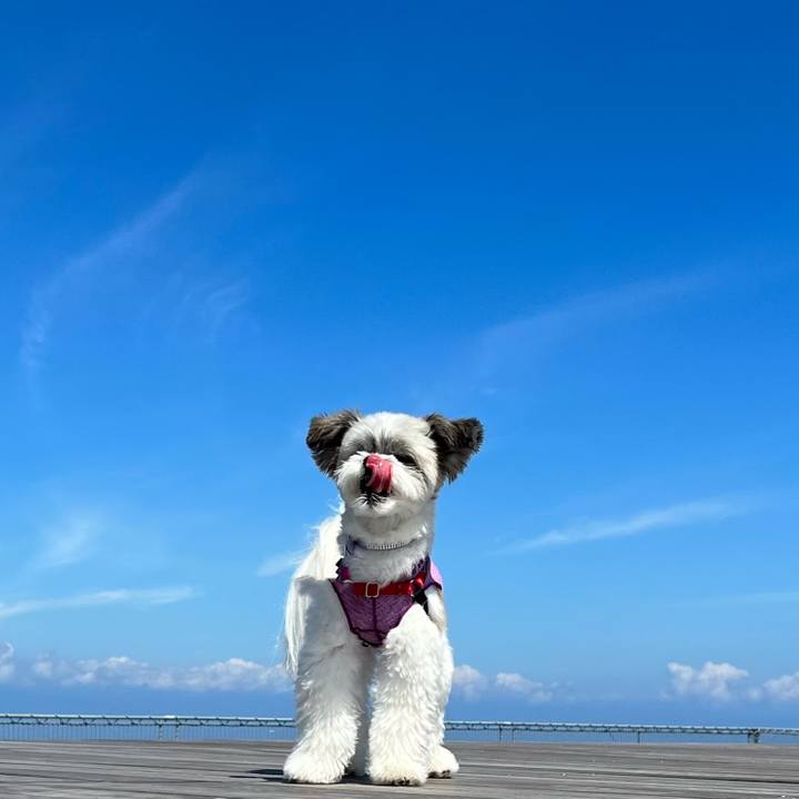 06af7850 a2db 4b4b 9077 b7dfd5dc5c96 1662792414068