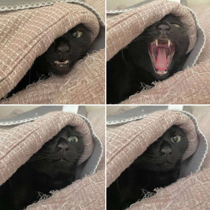 06af8152 08df 45a5 960e 10d0b37943dd 1671328086648