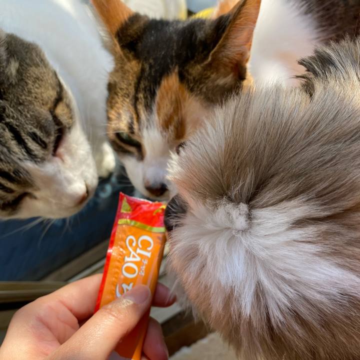 06af8d79 6843 4d55 b8e0 288beb6bf7c0 1641697072705