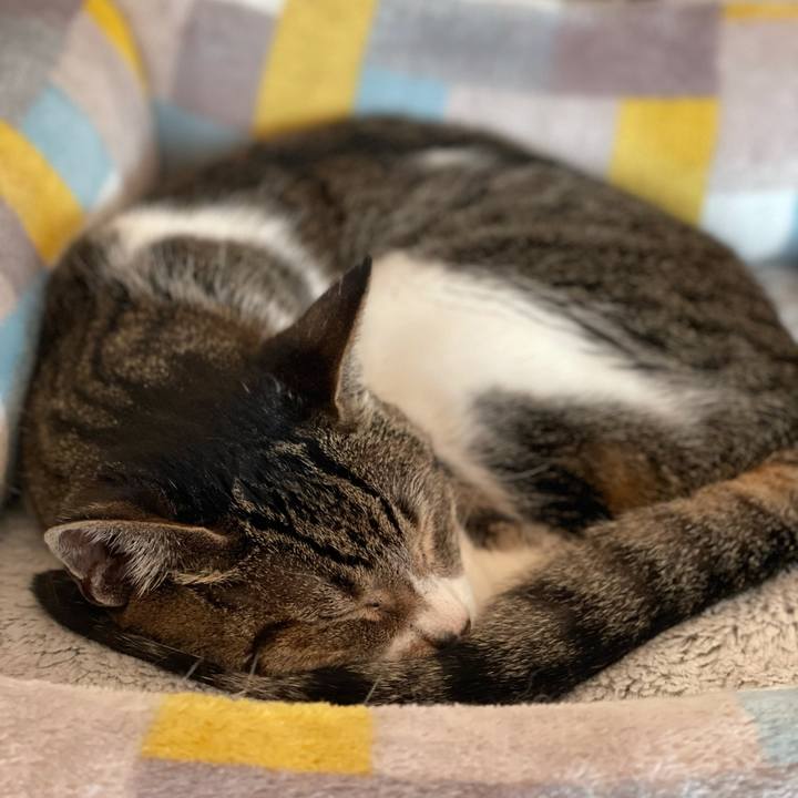 06afb8a1 803e 4fc2 bab9 f0aff8052ecf 1625969307576