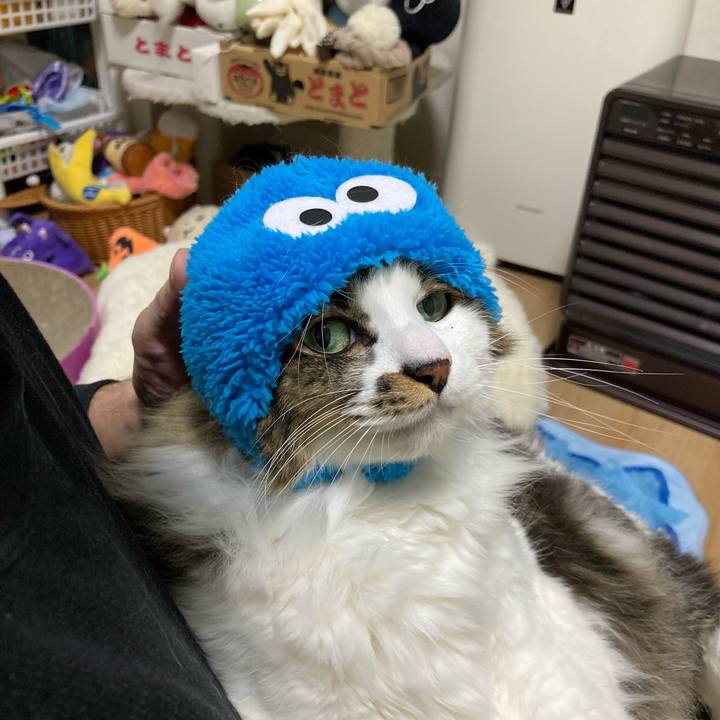 06afefc1 6070 4c1c 9e76 2e6d983c6533 1762259840272