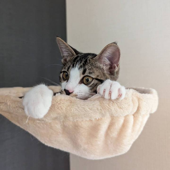 06b0008d ab3a 49bf 8020 84c162edd7e4 1723777384188