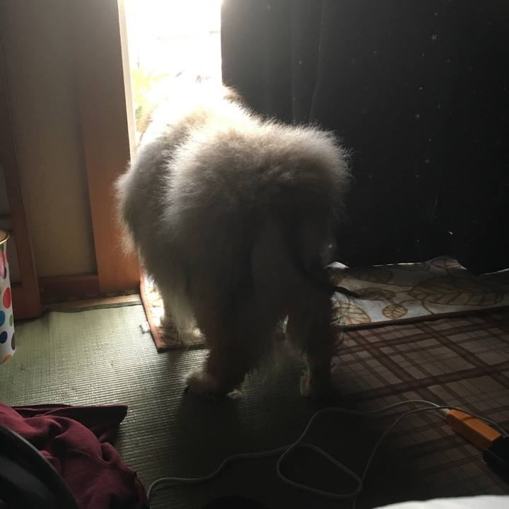 06b00838 6054 4192 a2d5 1c101fc30c27 1558912135528