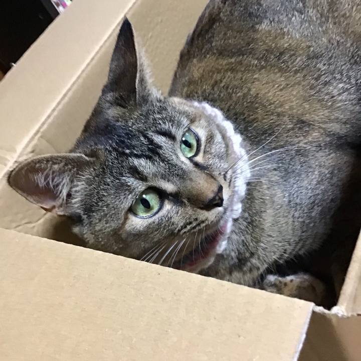 06b013dd 354e 4049 afc3 f33c3c6d4b35 1625559941955