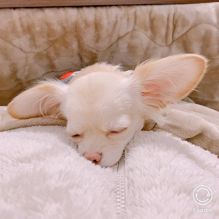 06b02522 bc19 48ba 8f60 8912656c6898 1608690037845