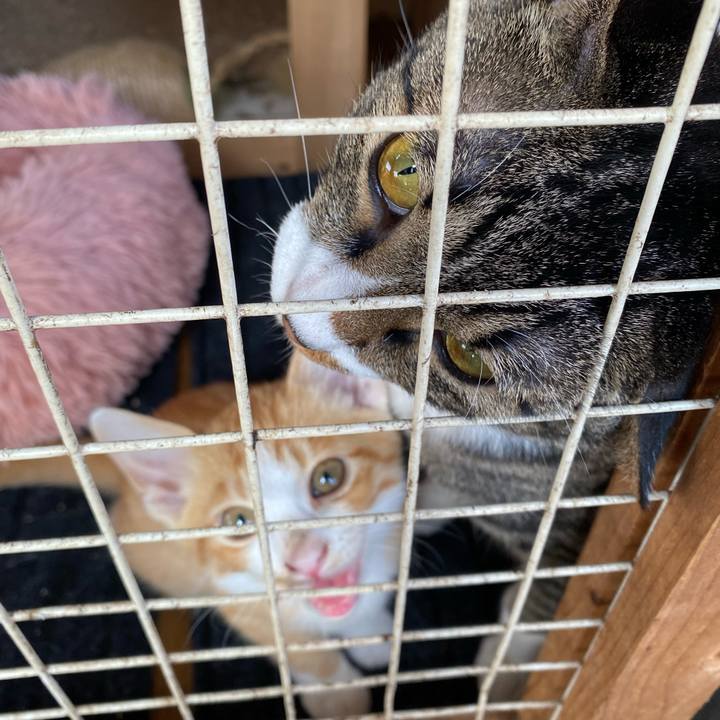 06b02668 9fe3 4b46 8602 9d0c3a8503f9 1666485345950