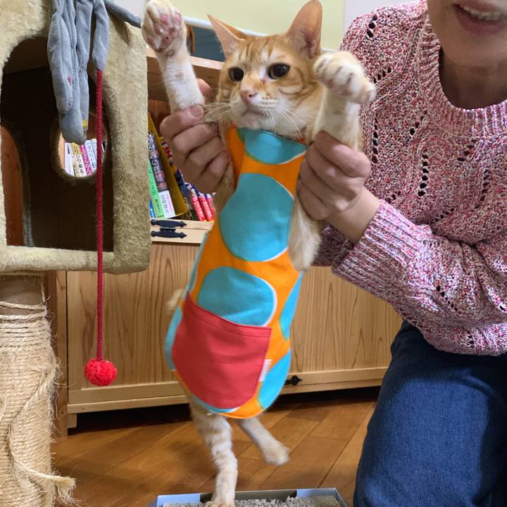 06b02944 9f9c 46ef bd73 66a8c5fbad7b 1555989995660