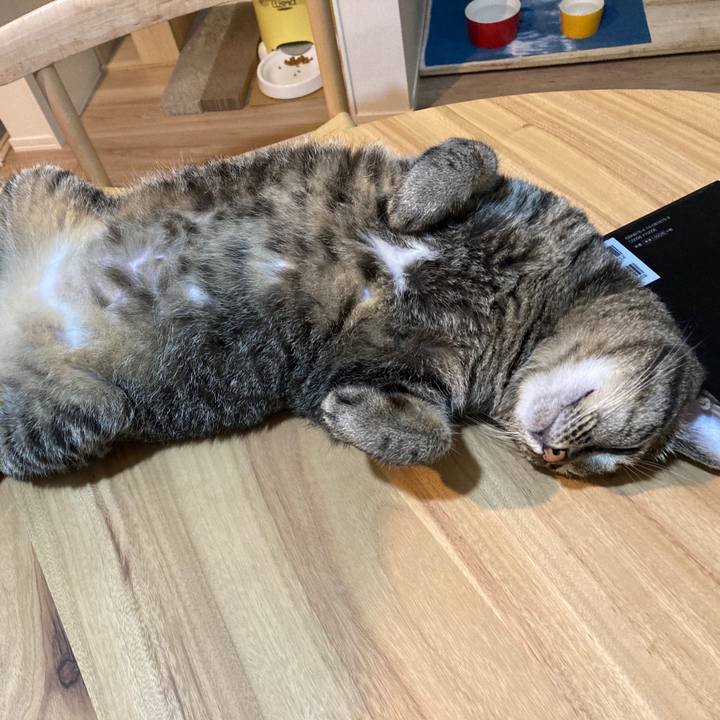 06b058c5 467d 4029 828e 912a7aad0922 1598928152448