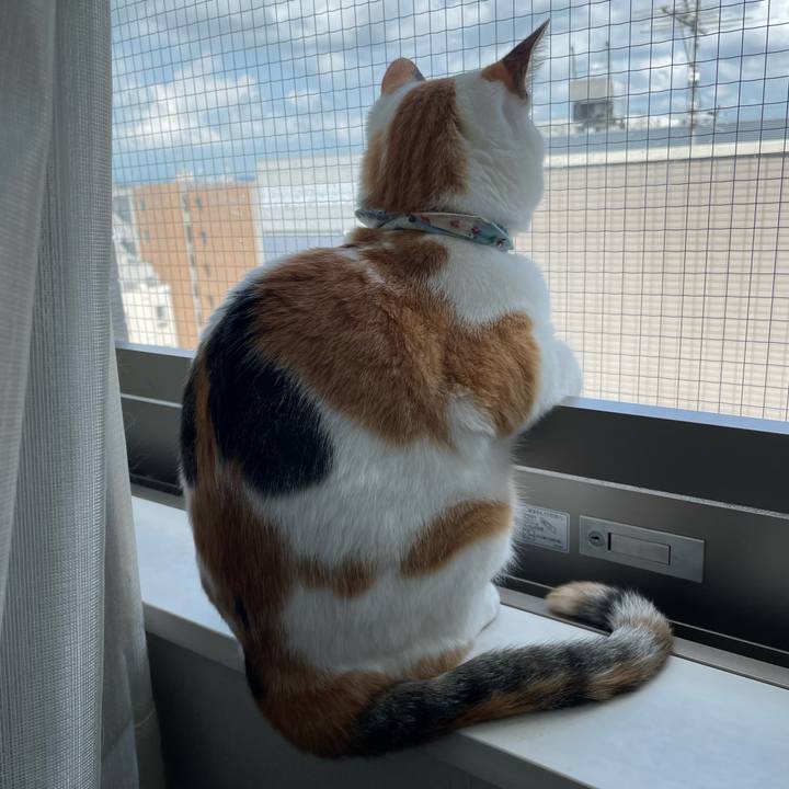 06b069ec 9132 4c2c 8868 1b0ea0c2d5fa 1723163250382