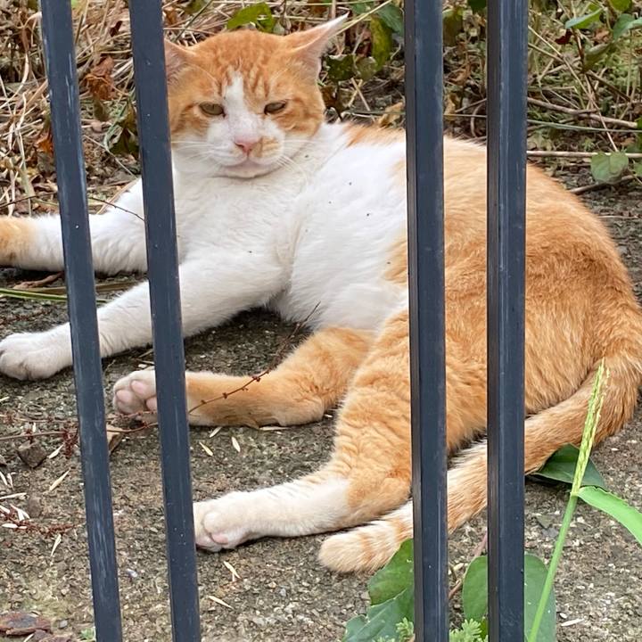 06b0aaf8 3aa7 4ad4 9219 412abadfff9b 1630662705000