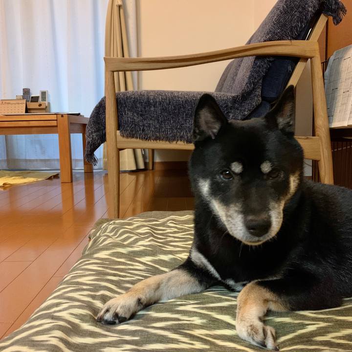 06b0d6e1 4472 40b0 8d2c 93c87431a859 1600935670780