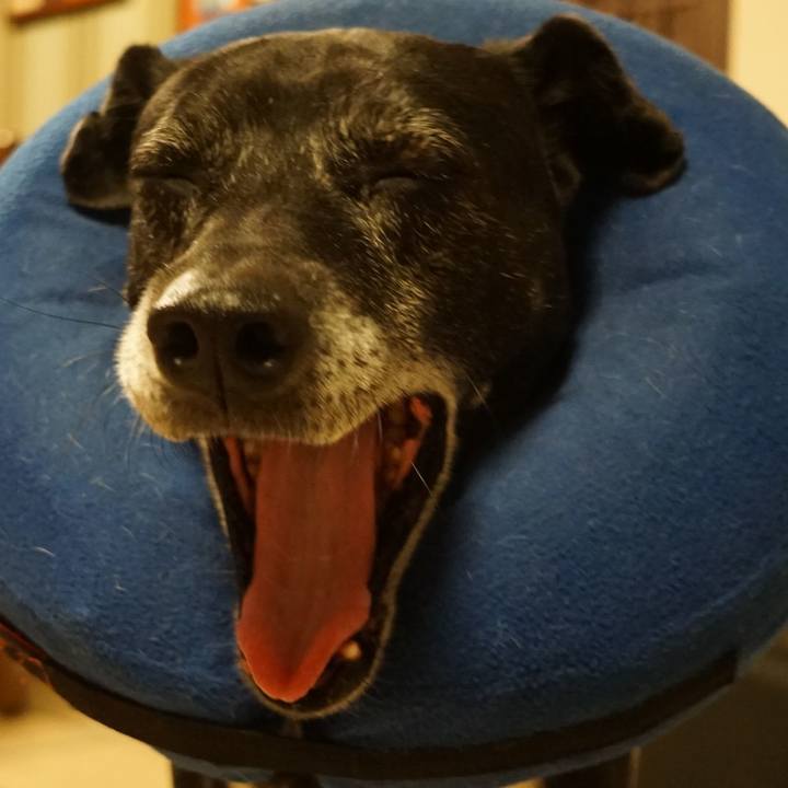 06b14bc5 1e30 4e5a b558 c7c29767d995 1768568538340