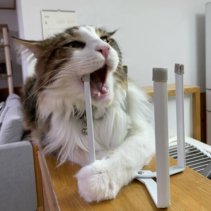 06b15222 5974 4cb9 aa96 25ed0b4fee24 1649246854785