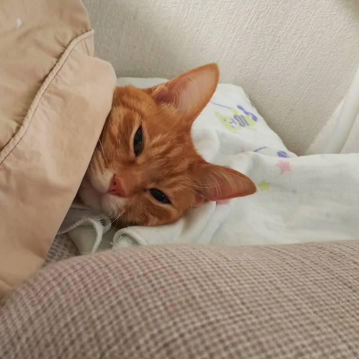 06b153a7 dfa5 4a67 a319 3f0d0a0f97c1 1599274755319