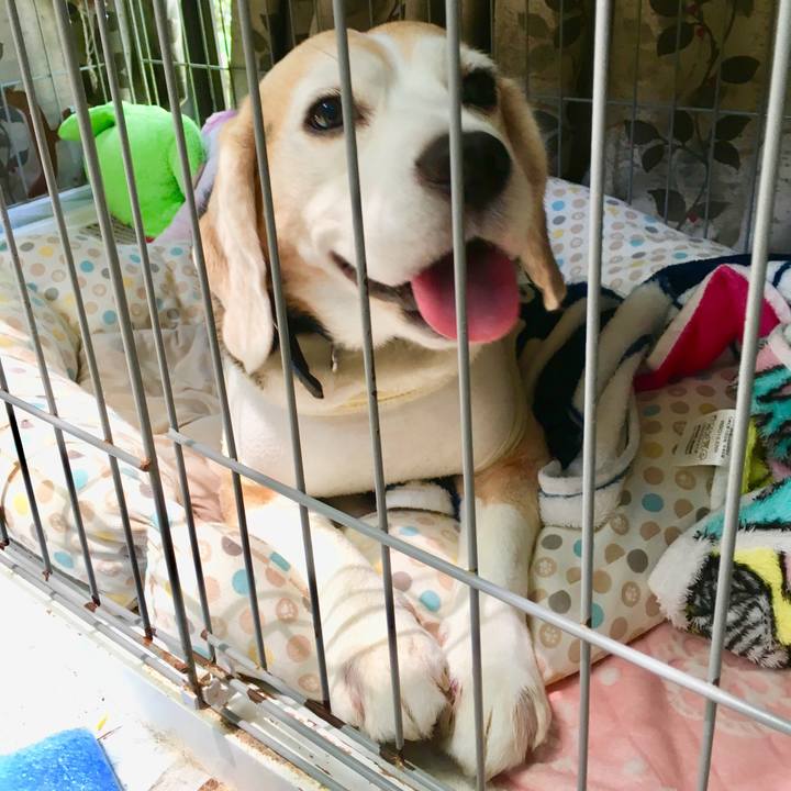 06b1db53 488e 42b5 b541 840be9e6cc70 1560913331673