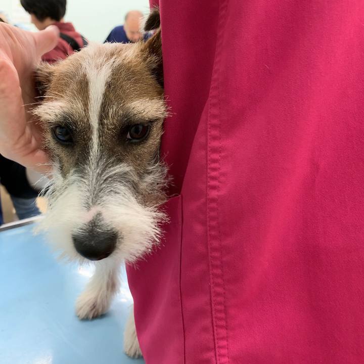 06b1dd19 d99e 459b 8dfb f1d3bcf32750 1572180474137