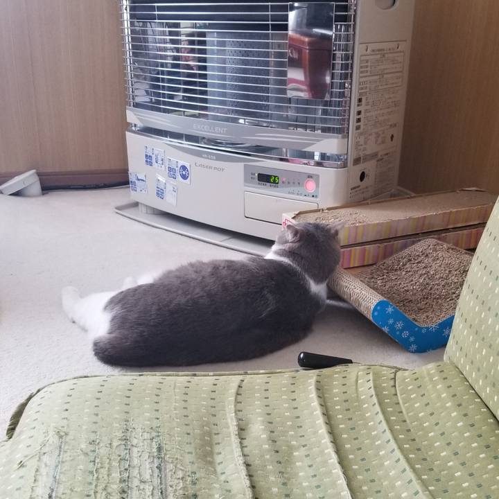 06b1fd55 51a0 4a3f 88ab 023bfe56be62 1647522579885