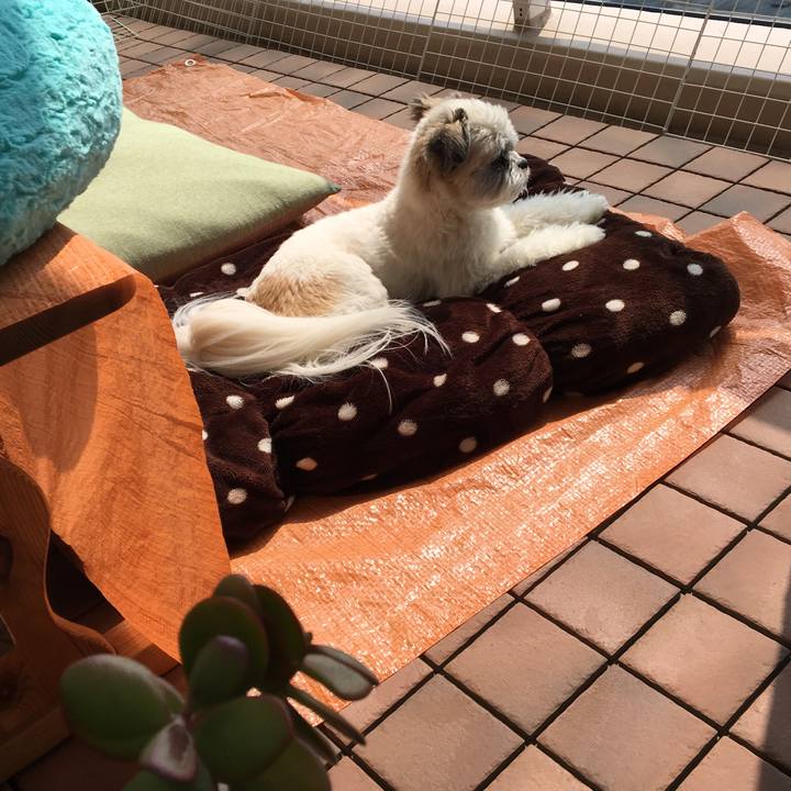 06b23bf9 4226 4a88 a735 e2eec60c9418 1522632777683