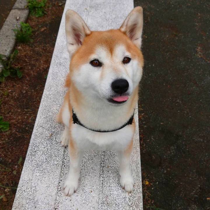 06b2632f 8ec1 4f36 93b0 8c2b0c26824c 1593319724169