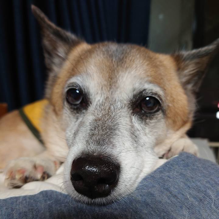 06b2a128 ca2c 4dec 8f87 6cfd8cff1ae4 1621345315993