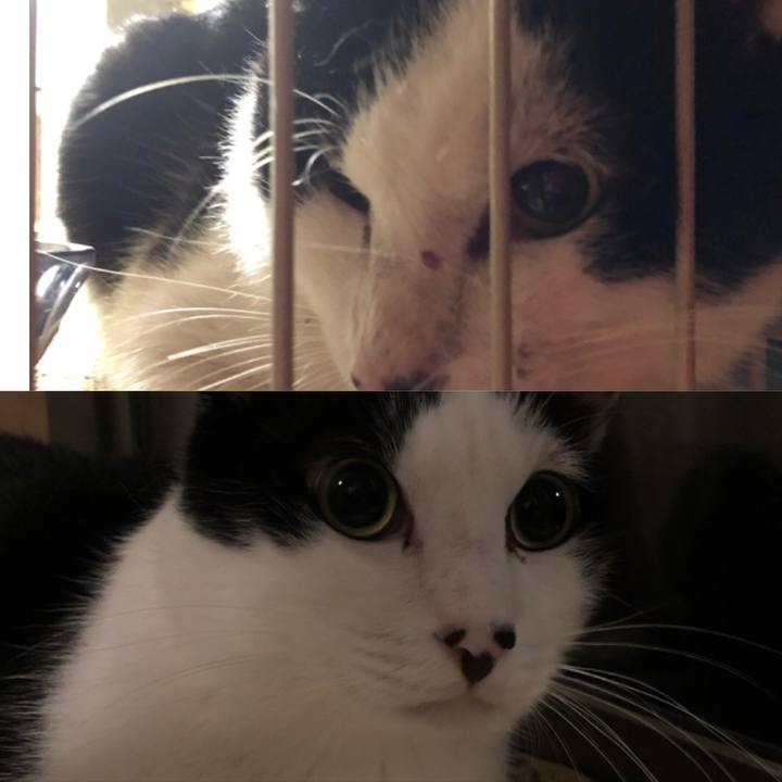 06b2a6ab ef37 41d1 8009 54c552d58d0e 1566228122033