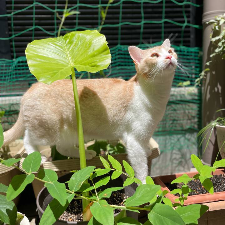 06b2ba07 cc48 4477 aad6 f2d01061f624 1653707120091