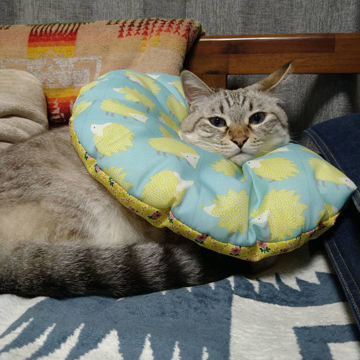 06b2bc67 bb45 4813 a5cc 8d3ba1f25bcf 1728392040432