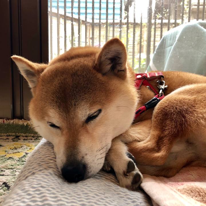 06b2bfd8 95f6 4640 99e9 9b67ac125d3e 1522987689112