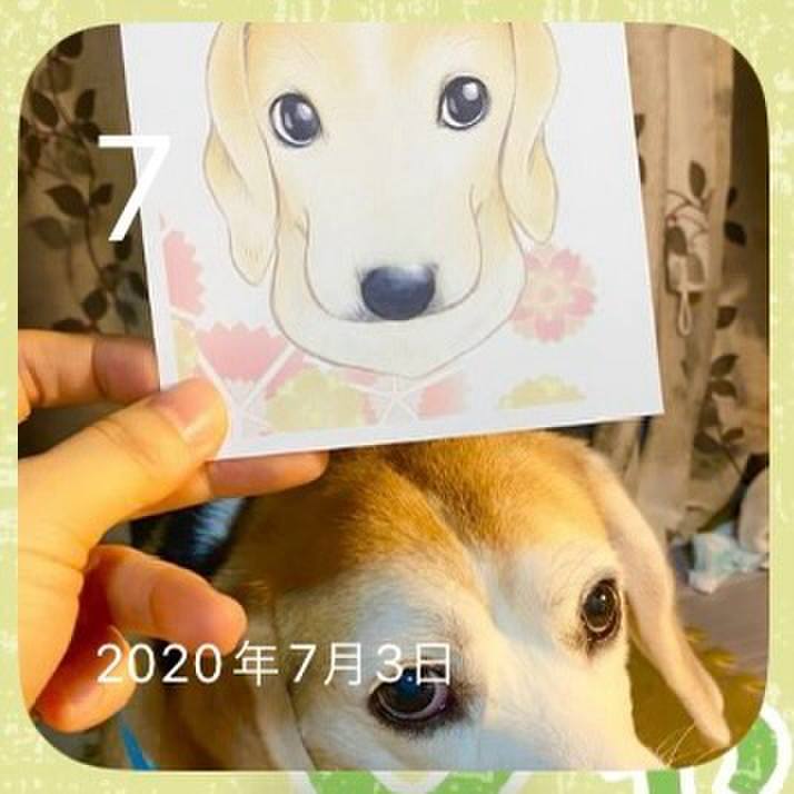 06b2cbed 87fd 4b16 bca2 8f0409cb7867 1720334984297