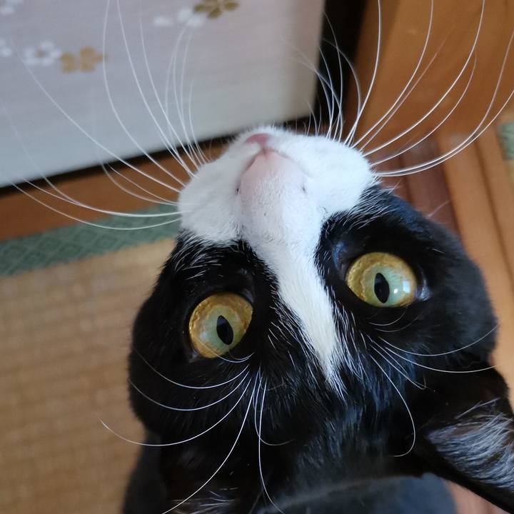 06b2cdce dfb9 42a6 9bd2 256f4cd19c02 1598687800081