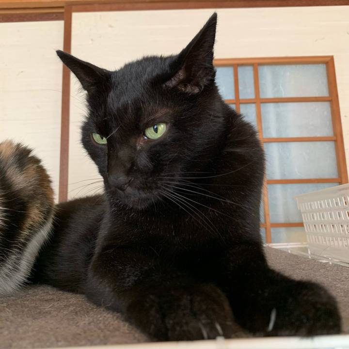 06b2d66d 4d26 445c 9277 24a547bbddbe 1600216638569