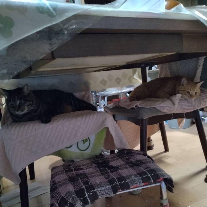 06b2f37b ff68 472b bc8d 7ed33c820652 1665140742947