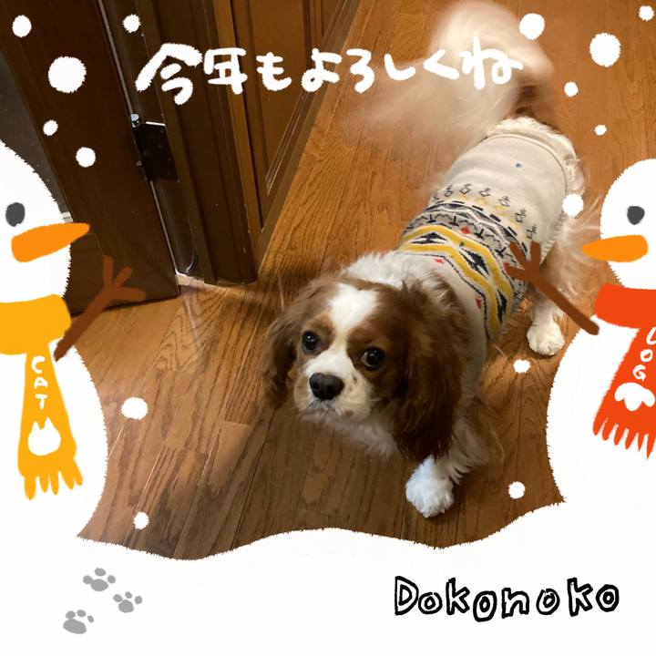 06b2f8ba 5459 4e00 b5a8 9f8da4884561 1704612247815