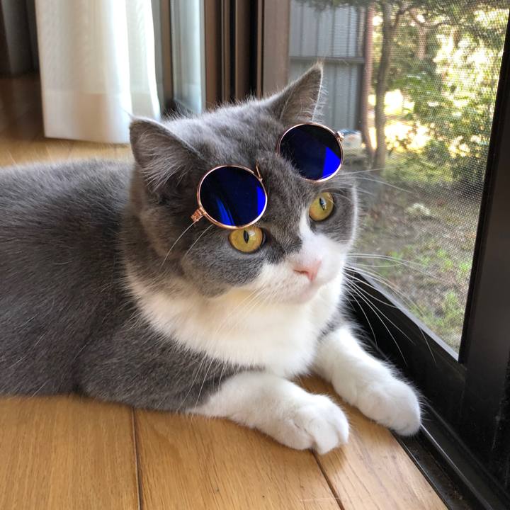 06b31445 e297 4bec b087 8a42141aed49 1556970052838