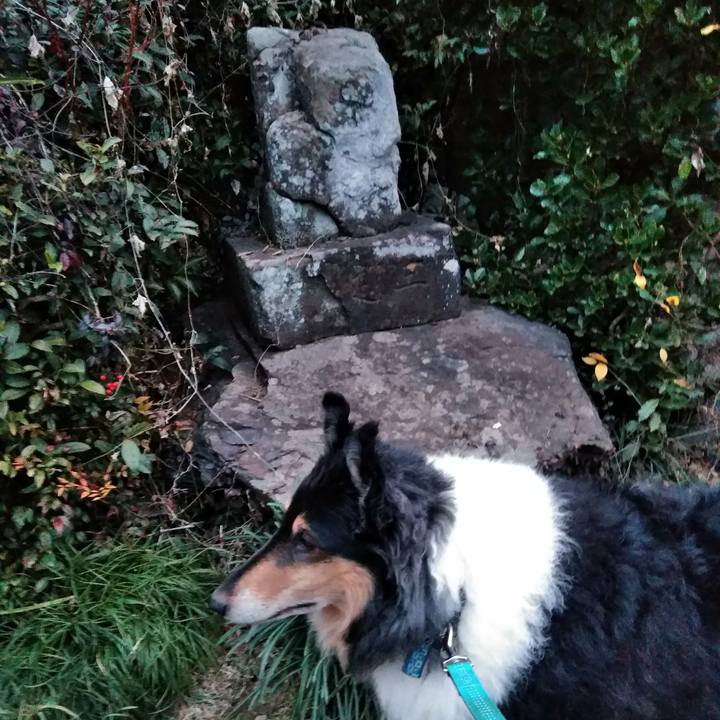 06b338b0 473e 4254 976e 41169b692176 1512400519609