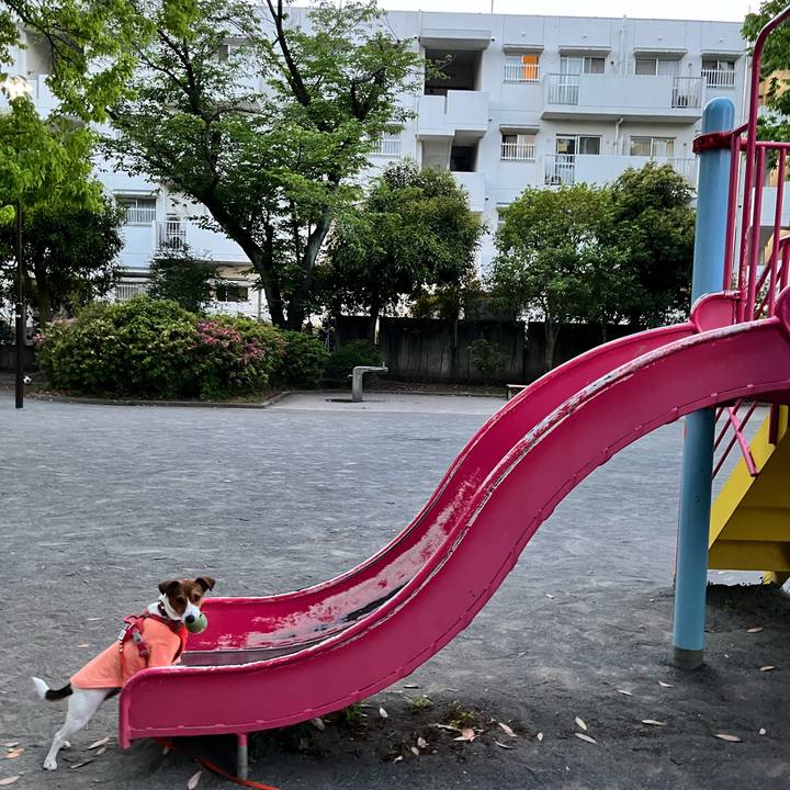 06b375d5 f0fc 43de 94ff 7b7bba1eaf4a 1714965607883