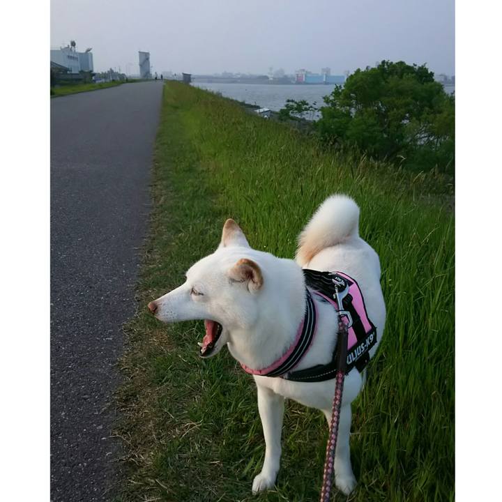 06b37c30 5381 4b73 a12b cfe7204422e1 1525167537739