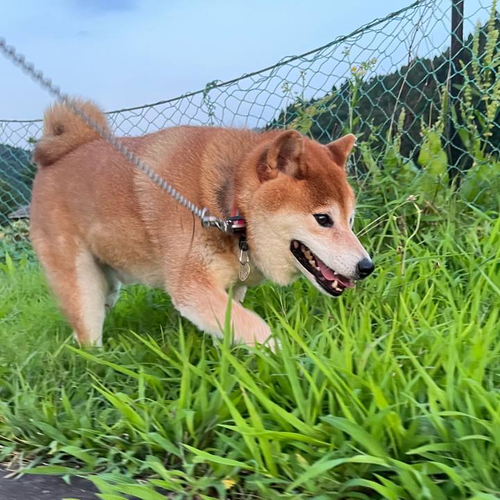 06b387b2 8f78 4b1a a659 a1582b9df247 1659844286785