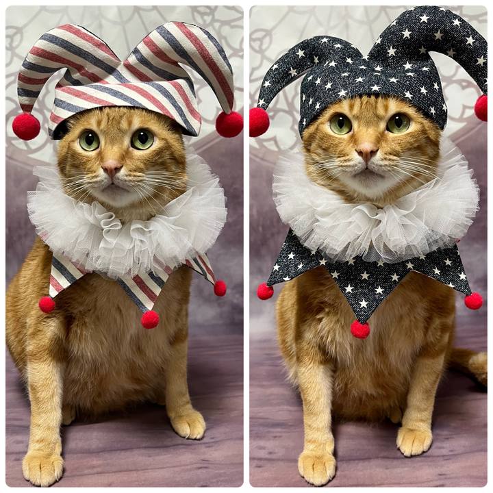 06b3a884 7a9b 4806 ba25 4b8994dc8b88 1685703488449